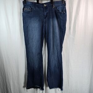 Amethyst women's jeans RN119815 size 13 regular